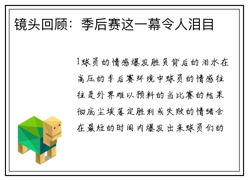 镜头回顾：季后赛这一幕令人泪目